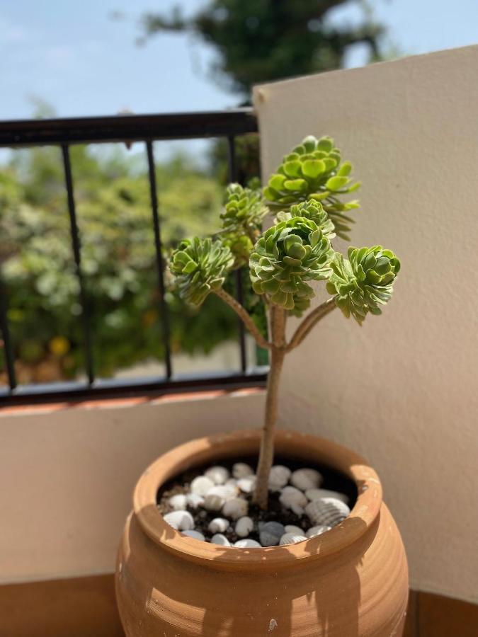 Las Palmeras 3, Nerja Eksteriør bilde